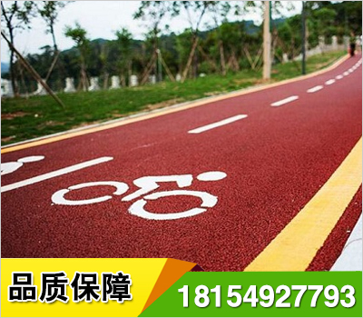 彩色非机动车道专用于公共交通的公交车道,自行车道,小型机动车道,专用于紧急服务和贵宾证持有者的电子收费站车道.